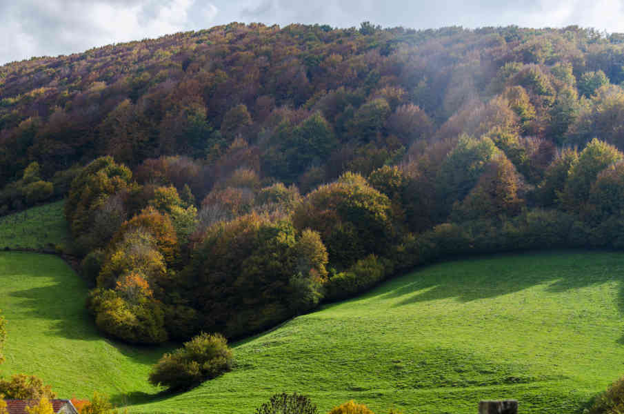 Comunidad Foral de Navarra 027 - Selva de Irati.jpg
